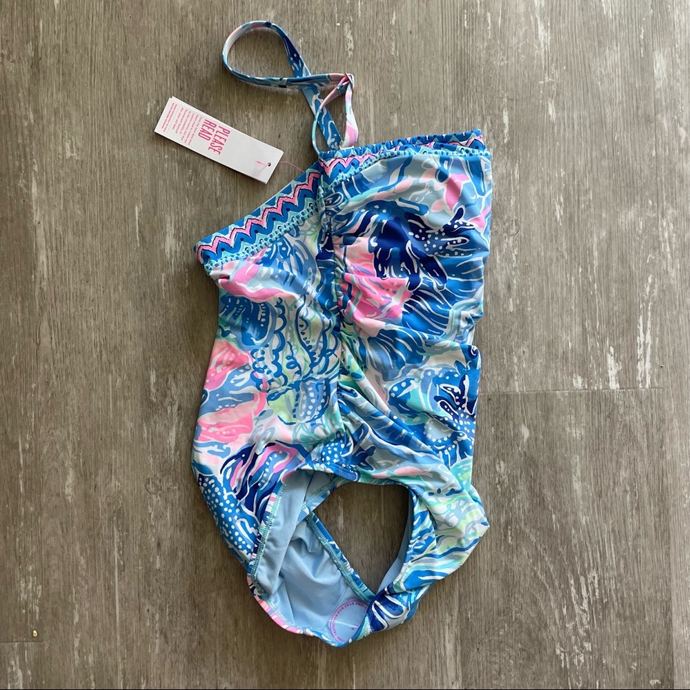 Sold Lilly Pulitzer Justina One-Piece Swimsuit - Picture 7 of 7